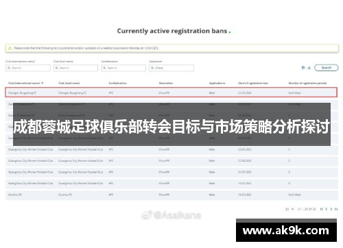 成都蓉城足球俱乐部转会目标与市场策略分析探讨